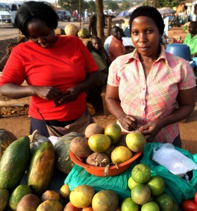 Uganda är ett av Afrikas bördigaste länder och fruktbergen dignar på de stora marknaderna, och som här hos en fruktförsäljerska vid en av de stora vägarna österut från Kampala, i förorten Kumunana: papaya, mango, apelsiner. (Foto: Daniel van der Blij)